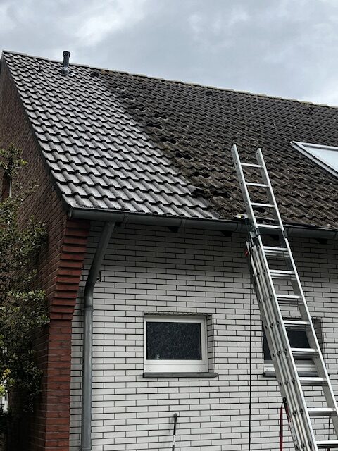 Dachreinigung, Reinigung, Dachziegel